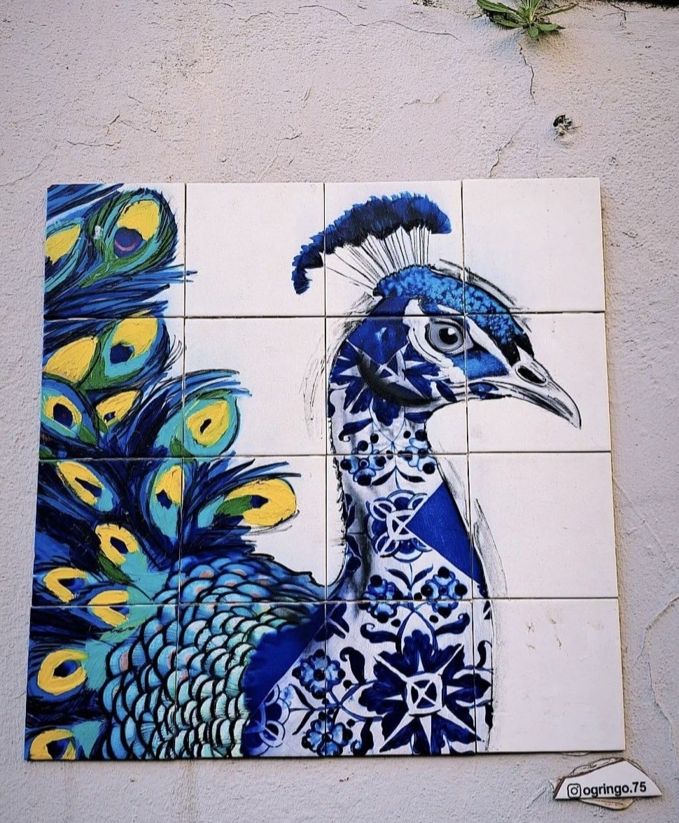 O Gringo street art in Lisbon — photograph 4