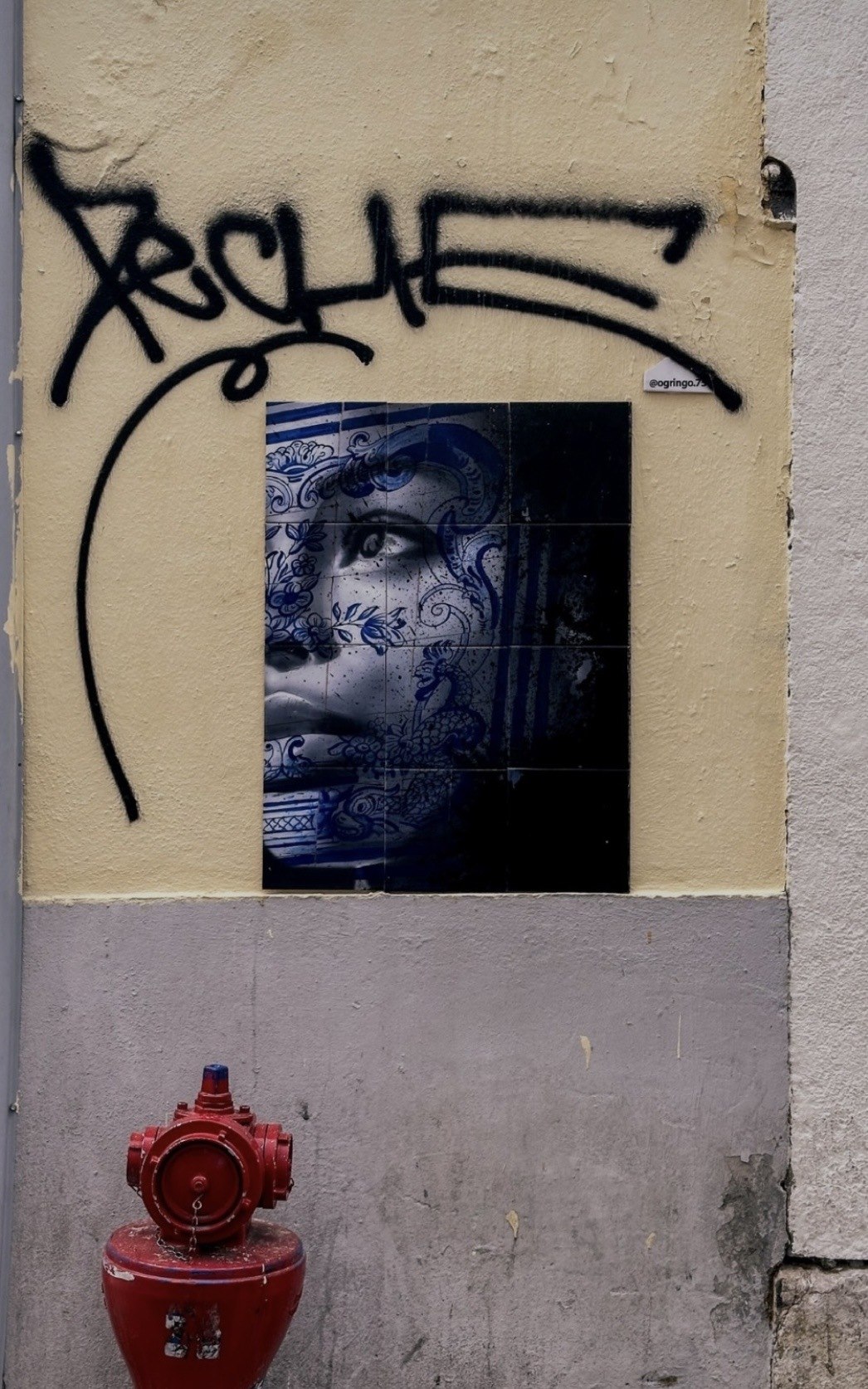 O Gringo street art in Lisbon — photograph 5